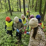 Dzieci szukają śmieci w lesie.jpg