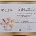 Froeblowska Grupa - certyfikat