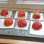 jeżyki wykonane przez dzieci z jabłek